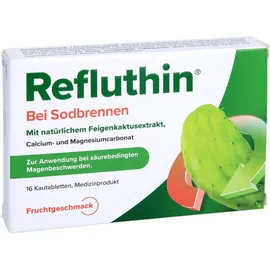 Dr. Willmar Schwabe Refluthin bei Sodbrennen Kautabletten Frucht