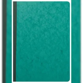 Exacompta 17020E Mehrkolonnenheft 2 Spalten 1 Seite 34 Zeilen 40 Blatt, 110g, A4 80 Seiten