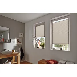 GARDINIA Plissee taupe Concept