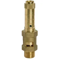 Riegler Sicherheitsventil, Messing, G 1, Ansprechdruck 11 bar