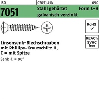 Industrial Quality Supplies ISO 7051 Form C LinsenSenkkopf-Blechschraube VG