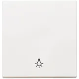 Panasonic Taster Plus 55 Wippe mit Symbol Licht