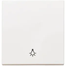 Panasonic Taster Plus 55 Wippe mit Symbol Licht