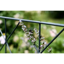 GAH Alberts Alberts Doppelstabmattenzaun Bergen, anthrazit, Länge 4 m, Höhe 120 cm, Set