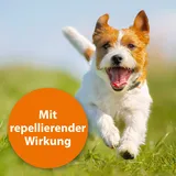 ardap - ARDAP Zecken- und Flohschutzpuder für Tiere 150 g