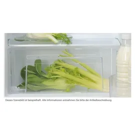 Bauknecht KSI 9VS2E Einbaukühlschrank (0,0 l, 880 mm hoch)