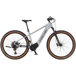 E-Bike FISCHER FAHRRAD "MONTIS M100 711" Gr. 46, grau, E-Bikes, 46cm, 29 Zoll (73,66cm)
