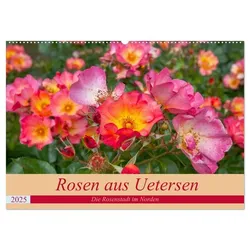 Rosen aus Uetersen (Wandkalender 2025 DIN A2 quer), CALVENDO Monatskalender