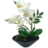 NTK-Collection Kunstblume Orchidee in Schale Leilani