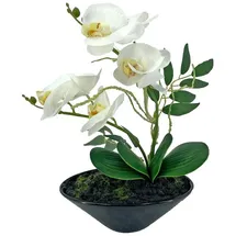 NTK-Collection Kunstblume Orchidee in Schale Leilani