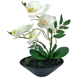 NTK-Collection Kunstblume Orchidee in Schale Leilani