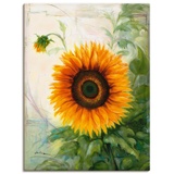 Artland Leinwandbild »Sonnenblume«, Blumen, (1 St.), gelb