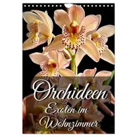 Calvendo Orchideen - Exoten im Wohnzimmer (Wandkalender 2026 DIN