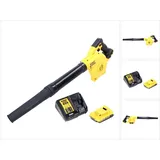DeWalt DCV 100 D1 inkl. 1 x 2,0 Ah + Ladegerät