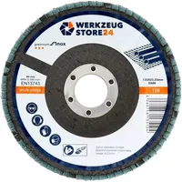 WS24 10x Lamellenschleifscheibe 125 mm gewölbt Zirkonkorund k 80