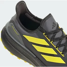 adidas Ultraboost 5 GTX Herren Carbon/Core Black/Grey Four 46