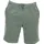 Iriedaily Corvin Shorts Grün M