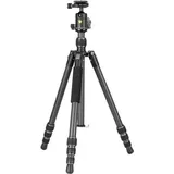 Vanguard VESTA GO 234CB Carbon
