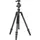Vanguard VESTA GO 234CB Carbon