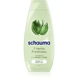 Schwarzkopf Schauma 7 Herbs Kräutershampoo für normales bis fettiges Haar 400 ml