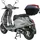 Alpha Motors Napoli 50 ccm 3,0 PS 45 km/h Silber