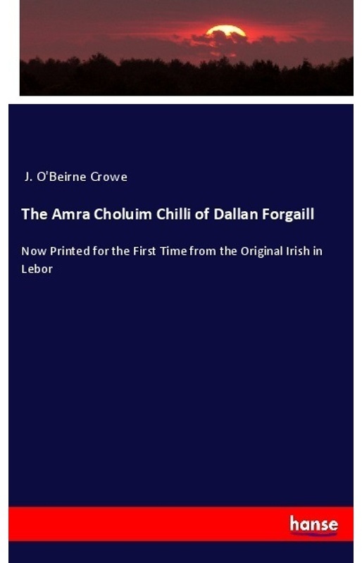 The Amra Choluim Chilli Of Dallan Forgaill, Kartoniert (TB)