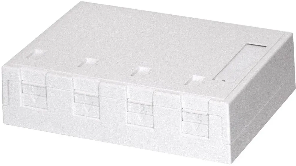 Dätwyler IT Infra Aufputzdose rw 4xKeystone 418038