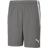 Puma teamLIGA Shorts Herren 13 smoked pearl/white XXL