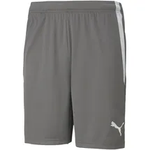 Puma teamLIGA Shorts Herren 13 smoked pearl/white XXL