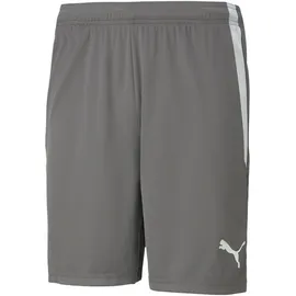 Puma teamLIGA Shorts Herren 13 smoked pearl/white XXL