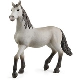 Sarcia.eu Spielfigur Schleich Horse Club - Pura Raza Espanola, Jungpferd, Figur, Kinder 3+