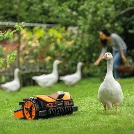 Worx Landroid Vision M800