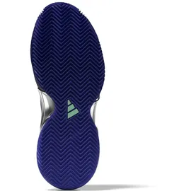 adidas Damen Tennisoutdoorschuhe Barricade W clay, LUCBLU/VIOFUS/PULMIN, 41 1⁄3