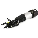 ARNOTT Luftfederbein AS-2785