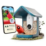 birdbuddy BIRD BUDDY Vogelhaus mit Solardach (blau)