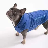 Paw wow Hundejacke IMMI Blau XXL