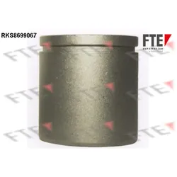 Kolben Bremssattel FTE 9313106