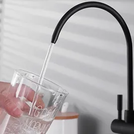 REA Eco Fresh Küchenarmatur Schwarz