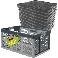 Homesti 10 x Robuste Profi - Klappbox 45 L