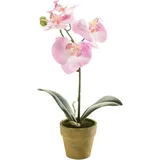 Künstliche Orchidee - Lynn | 25 cm