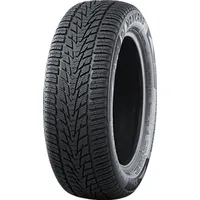 Nankang Winter Activa SV-4 XL