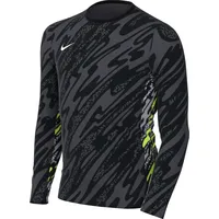 Nike Kinder Long Sleeve Top Y Nk Df Gardien V Gk JSY Ls, Anthracite/Black/White,