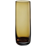 Asa Selection ASA 88013009 Vase Glas, 22cm