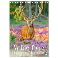 Calvendo Wilde Tiere: Zuhause in Wald und Flur (Wandkalender