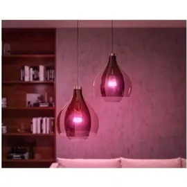Philips Hue White Ambiance E27 1100 lm Starter-Set 8 W 2 Stk. + Dimmschalter