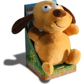 Winfried Kögler Laber Hund