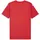 Puma Teamfinal Graphic Jersey rot XXL