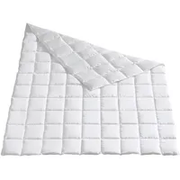 Häussling Home Sommer Daunendecke 155x220 cm | Sommerdecke, Daunendecke Sommer, Made in Germany, 90% Daunen, auch für Allergiker geeignet, Bezug 100% Baumwolle,Füllgewicht 300g