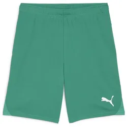 Puma Teamgoal Shorts sport green-puma white (05) L