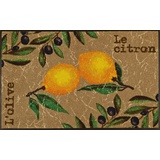 Wash+Dry Le Citron Dekorative Fußmatte Indoor rechteckig, Mehrfarbig